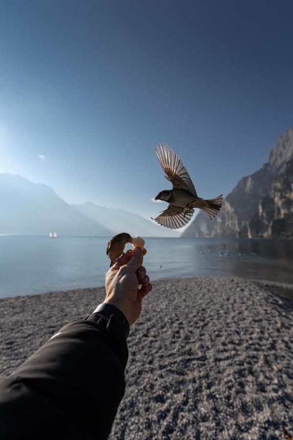 Le Calle Holiday Apartments Torbole Sul Garda Exterior foto